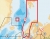 Navionics GOLD 49XG